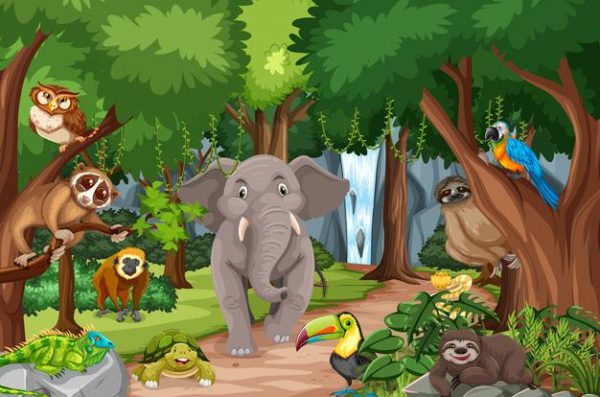 Ciências 4º Ano Fundamental - Classificação dos animais: herbívoros, carnívoros e onívoros, cadeias alimentares e os elementos das cadeias alimentares.