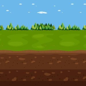 Ciências 5º Ano Fundamental – Solo: tipos e origem, consequências causadas pela erosão.