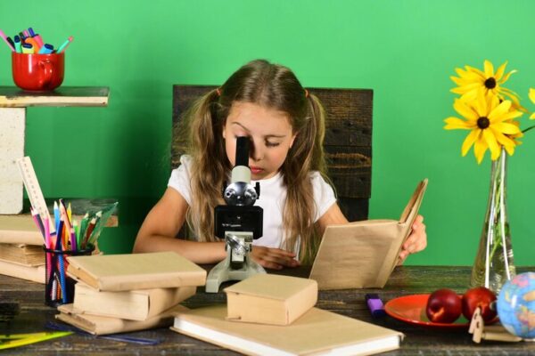 Plano de Aula Ciências - A diversidade dos materiais no nosso dia a dia - 1º Ano do Ensino Fundamental.